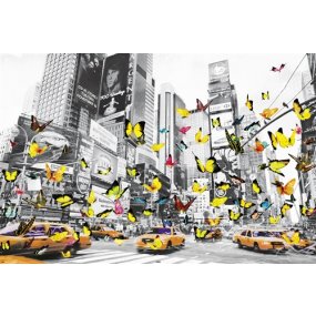 Plagát New York - Butterflies in Manhattan
