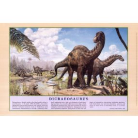 Plagát Dicraeosaurus