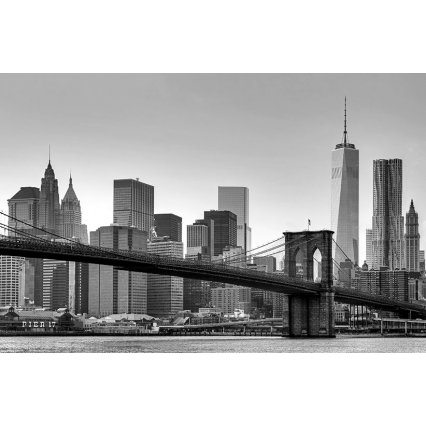 Fototapety na stenu New York F622