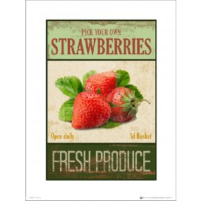 Reprodukcia Strawberries Pick Your Own