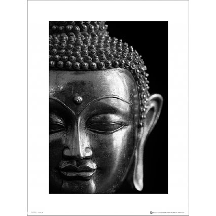 Reprodukcia Buddha Silver Close Up
