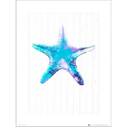 Reprodukcia Seaside Starfish Blue