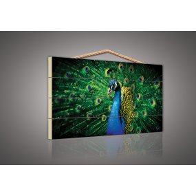Výpredaj - Drevený obraz Peacock