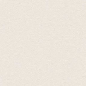 tapety na stenu MeisterVlies 5 309112