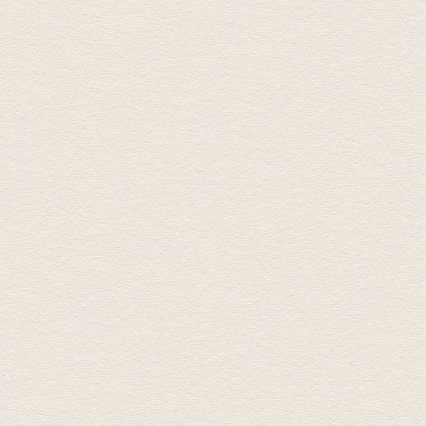 tapety na stenu MeisterVlies 5 309112