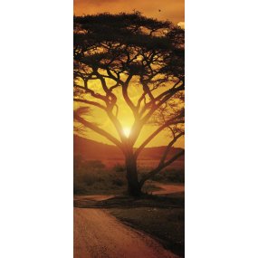 Fototapeta na dvere Africa Sunset