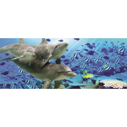 Fototapeta panoramatická vliesová Delfíny