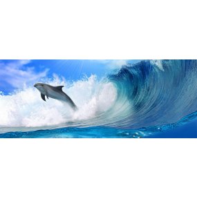 Fototapeta panoramatická vliesová Dolphins