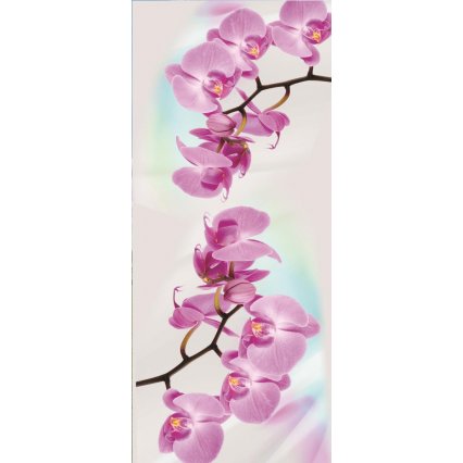 Fototapety na dvere Orchid 2