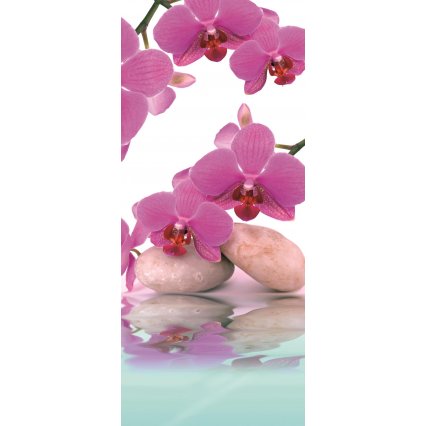 Fototapety na dvere Orchids 2