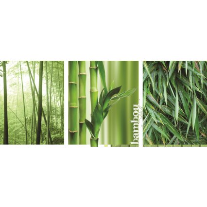 Fototapeta panoramatická vliesová Bambus