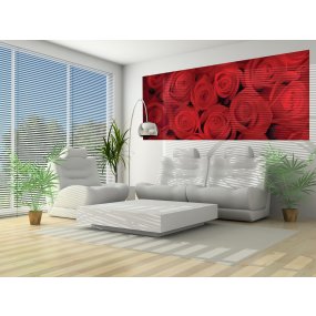 Fototapeta panoramatická vliesová Červené ruže