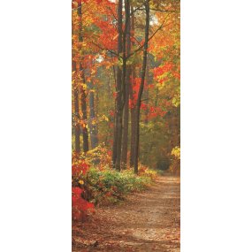 Fototapeta na dvere Jesenný les