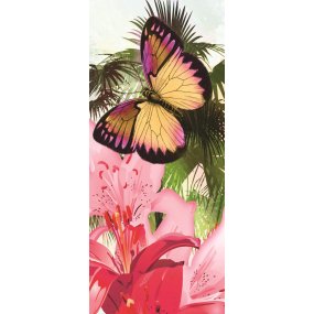 Fototapeta na dvere Colorful butterflies