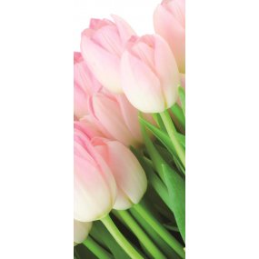 Fototapeta na dvere Bouquet of tulips